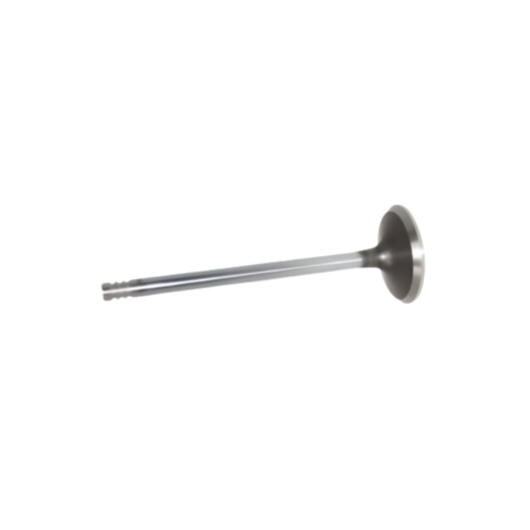1986-2022 Harley-Davidson Sportster Exhaust Valve