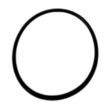 2011-2015 Polaris RZR / Ranger Water Pump O-Ring - FKM Rubber (100 Packs)