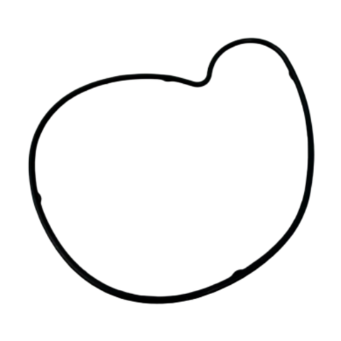 2012-2026 Polaris General / RZR / Trail / ProStar Water Pump Cover Gasket (25 Packs)