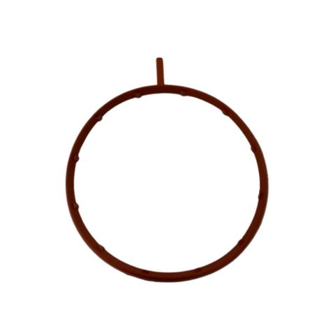 2019-2026 Polaris General / RZR Oil Filter Adaptor Seal - FKM Rubber