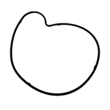 2012-2026 Polaris General / RZR / Trail / ProStar Water Pump Cover Gasket (25 Packs)