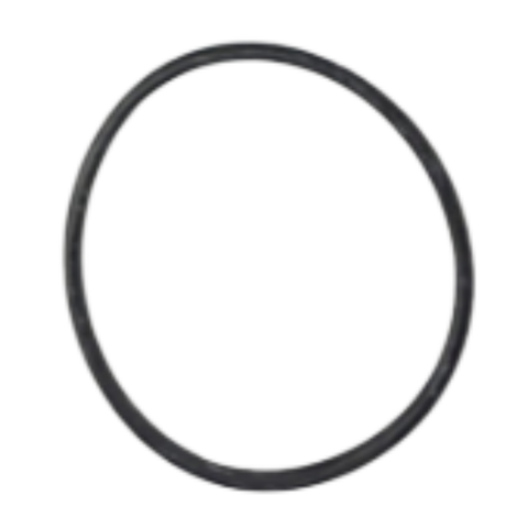 2007-2017 Harley-Davidson Sportster / Twin Cam Starter Clutch O-Ring (20 Pack)